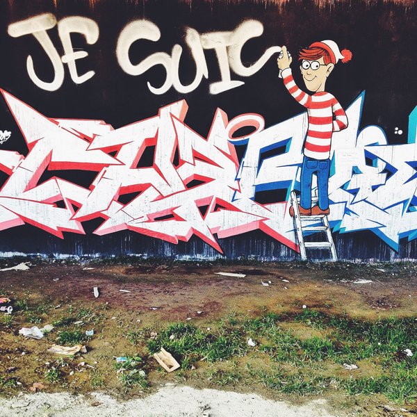 Comment créer un espace de jeu optimal pour un chat d'intérieur ?