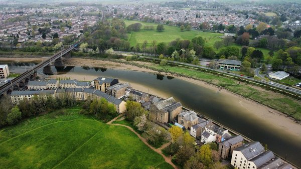 Quelle est l'influence de la pleine lune sur le comportement des animaux nocturnes?
