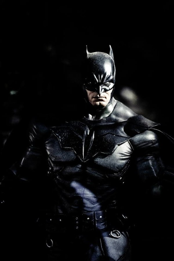 Quel probiotique choisir pour un chat Sphynx avec une flore intestinale fragile?